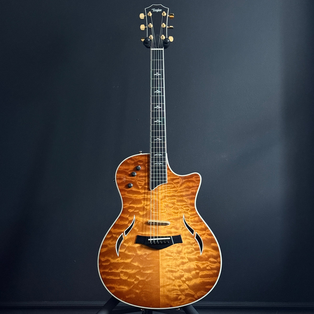 Taylor T5-LTD NAMM 2007 Acoustic/Electric Guitar – Oxbow Audio Lab