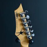 Dean Michael Angelo Batio Armored Flame MAB1, Hardshell Case