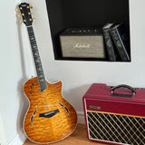 Taylor T5-LTD NAMM 2007 Acoustic/Electric Guitar