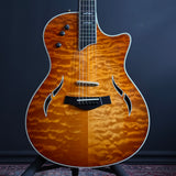 Taylor T5-LTD NAMM 2007 Acoustic/Electric Guitar