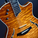 Taylor T5-LTD NAMM 2007 Acoustic/Electric Guitar