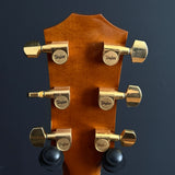 Taylor T5-LTD NAMM 2007 Acoustic/Electric Guitar