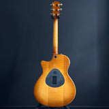 Taylor T5-LTD NAMM 2007 Acoustic/Electric Guitar