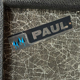 Pine Electronics Paul Model 203 (Chassis 801) Vintage Tube Guitar Amplifier Combo