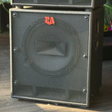 Euphonic Audio iAmp350 Bass Head and Two CXL112II Cabinets