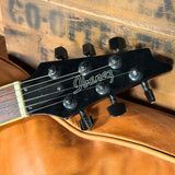 1994 Ibanez Ghostrider GR320 BK