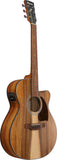 Ibanez PC50WSCEOPB Acoustic Electric Guitar Open Pore Brown