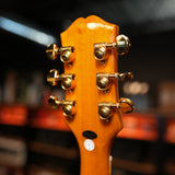 Epiphone Sheraton Frequensator Semi-hollowbody, Natural 2023 (Pre-Owned)