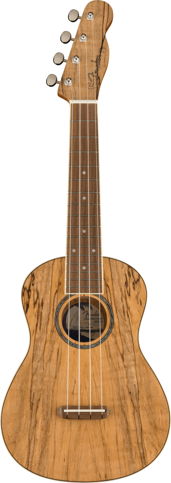 Fender Zuma Exotic Concert Ukulele, Walnut Fingerboard, Spalted Maple
