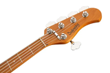 Sadowsky Guitars MetroExpress 21-Fret Hybrid P/J 5-String Bass with Gigbag - Black - Oxbow Audio Lab