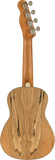Fender Zuma Exotic Concert Ukulele, Walnut Fingerboard, Spalted Maple