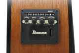 Ibanez PCB54E 4-String Acoustic/Electric Bass - Open Pore Natural