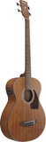 Ibanez PCB54E 4-String Acoustic/Electric Bass - Open Pore Natural