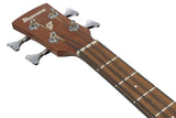 Ibanez PCB54E 4-String Acoustic/Electric Bass - Open Pore Natural