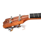 Twisted Wood Guitars PI-100C-UK-300T Pioneer Ukulele w/Belcat Pickup Laminate Sapele and Padded Gig Bag